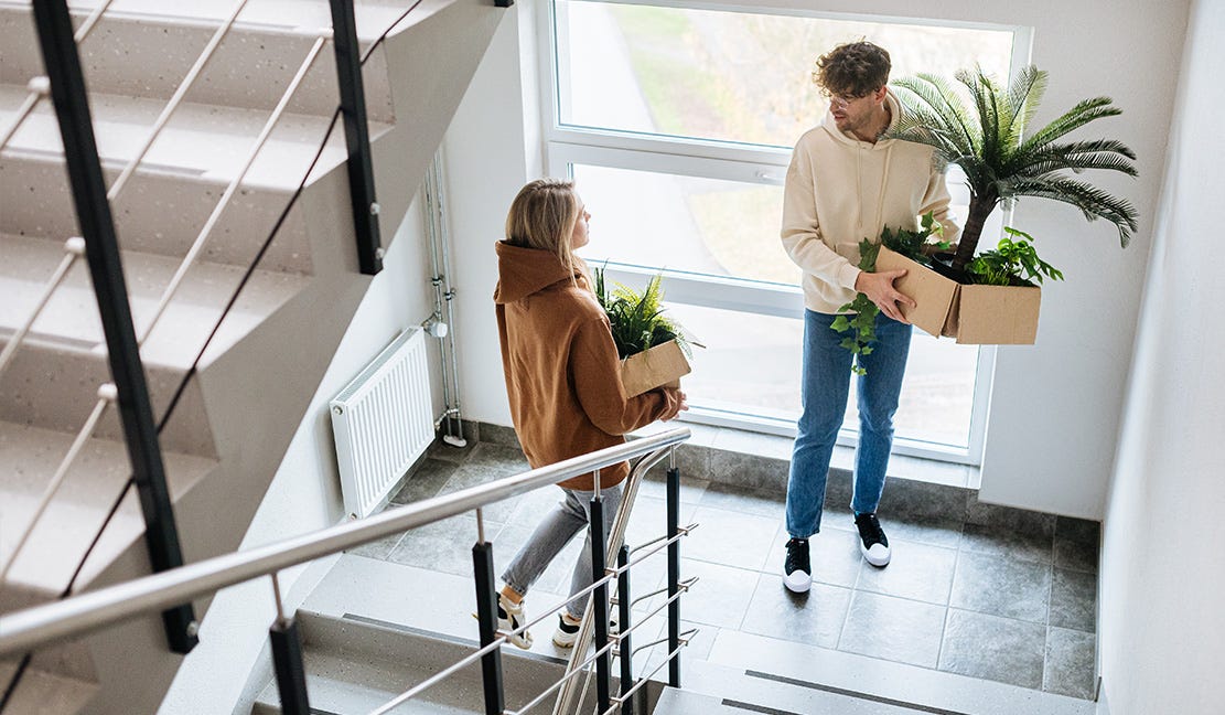Īres dzīvokļi Jauns pāris kāpņu telpā nes telpaugus kastēs, pārvācoties uz jaunu īres dzīvokli gaišā un mūsdienīgā daudzdzīvokļu namā.